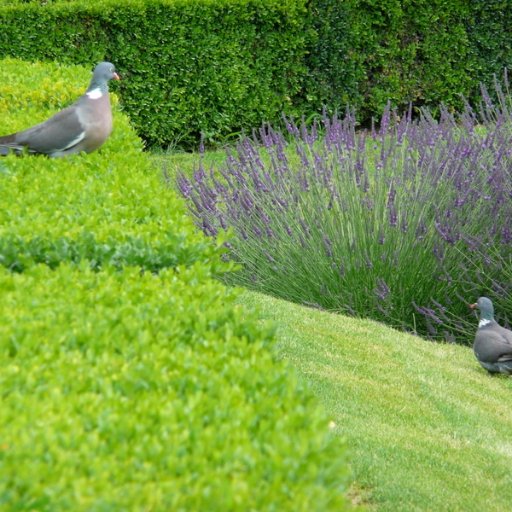 Discerning omnivore of culture and nature. Appreciator of kindness and birdsong.