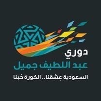 دوري جميل السعودي