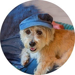 cabofun_ute's profile picture. 