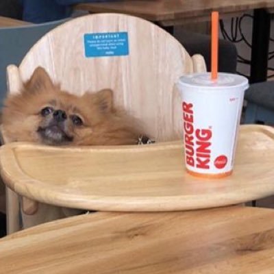 alicenlee's profile picture. kind lady baker 🍞