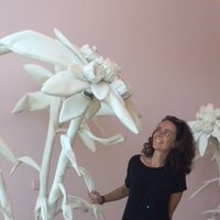 Inês Barbosa (@ines_crbarbosa) 's Twitter Profile Photo