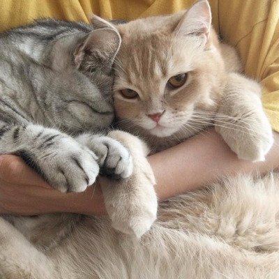 georgescouthon's profile picture. Hey I'm Alex. USA he/him.