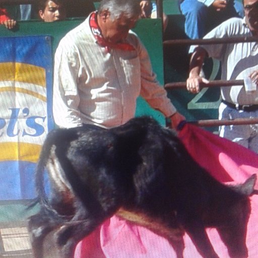 jjuangilgar's profile picture. 