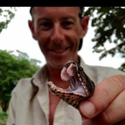 Herpetological Consultant, Australian Reptile Academy Instructor, Wildlife Photographer.