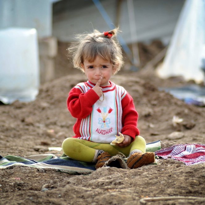 #SaveSyria stop #Assad and #Russia and #Iran