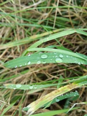 Networ47593157's profile picture. 😈👻👻👻👾👿