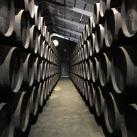 Paddy Murphy (@vineinspiration) 's Twitter Profile