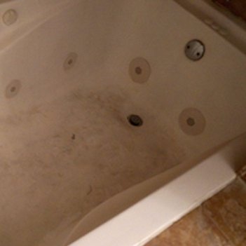 SentientPustule's profile picture. Providing a receptacle in which Stephen K. Bannon can process methamphetamine for personal use.