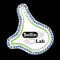 Sellin Lab(@SellinLab) 's Twitter Profile Photo