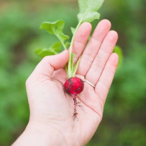 EtikGidayaDogru's profile picture. @EkoHarita TDT Ağı
#gıdatoplulukları #toplulukdesteklitarım
Gıda hareketi gönüllüleri iletişim ağı
🌍Proje:
https://t.co/5dNDNtz0yX