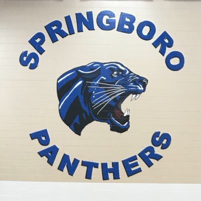 SpiritOfBoro's profile picture. 🐾EVERYONE is a piece of this puzzle! Performers, academic teams, athletes, drill teams, artists, musicians, & YOU, the Fans! Because WE ARE all PANTHERS!! 💙