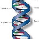 EnhancerDNA Profile Picture