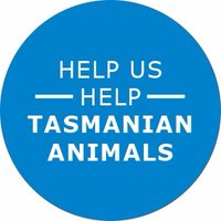 RSPCA Tasmania(@RSPCATasmania) 's Twitter Profile Photo