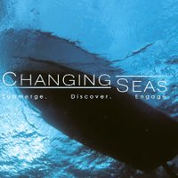 Changing Seas(@CHANGINGSEAS) 's Twitter Profile Photo