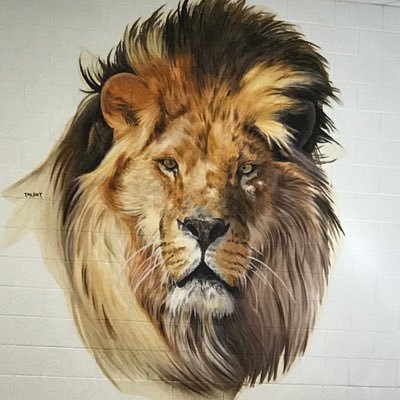 LynnhavenPta's profile picture. Our goal is to support and enhance the educational program at Lynnhaven Elementary School.