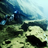 DIVE LAB (@dive_lab) 's Twitter Profile