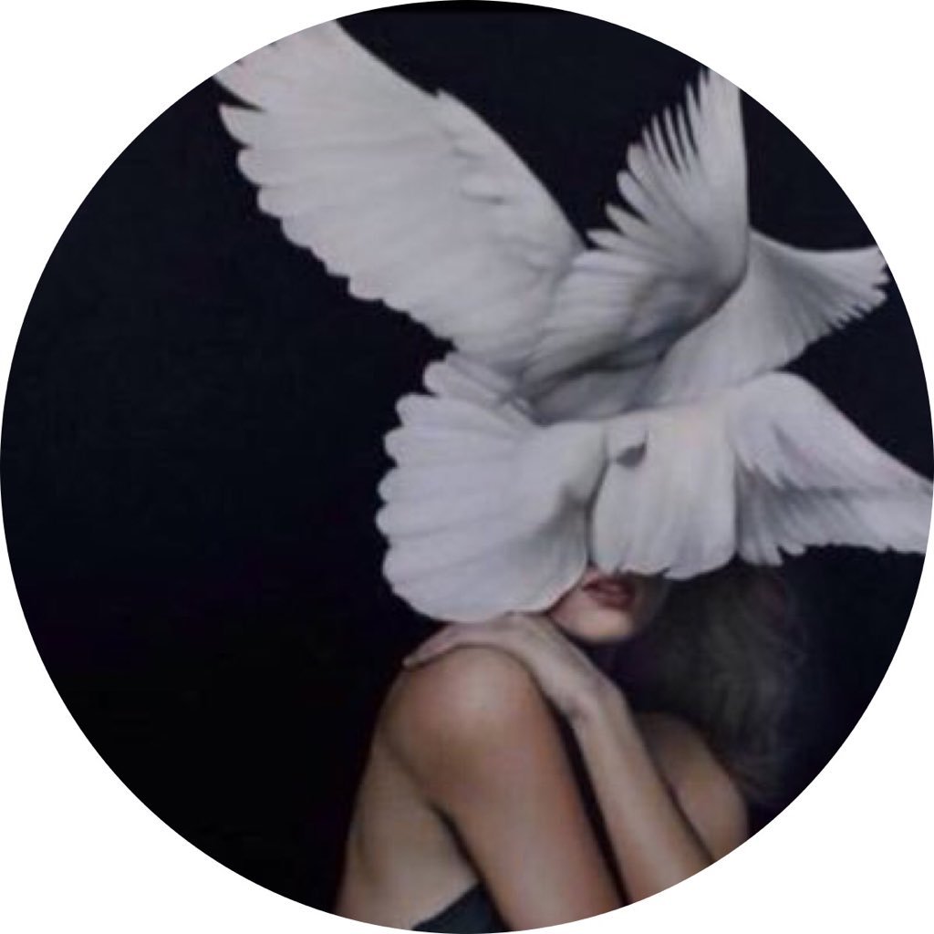 i__Besh1's profile picture. ان لم تُحسن،لا تؤذي ✨.