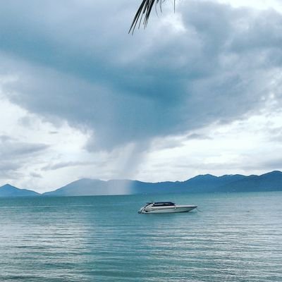 JordsLifeContd's profile picture. 