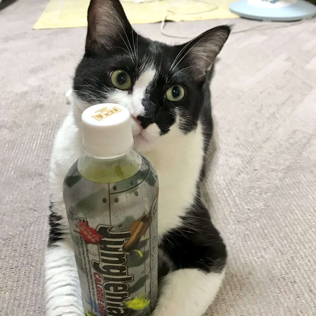 錐宮さんのプロフィール画像