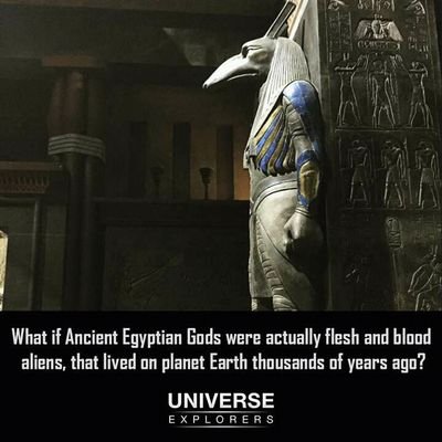 MushiAlson's profile picture. money seeker