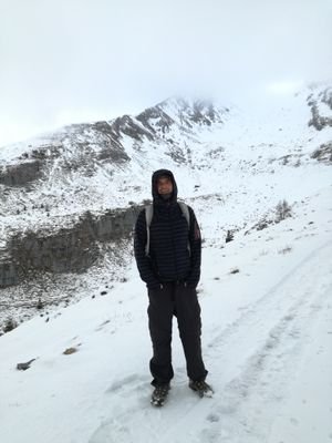 ciuspis's profile picture. 