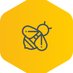 Bumblebee Lettings (@bumblebeeldn) Twitter profile photo Bumblebee Lettings (@bumblebeeldn) Twitter profile photo