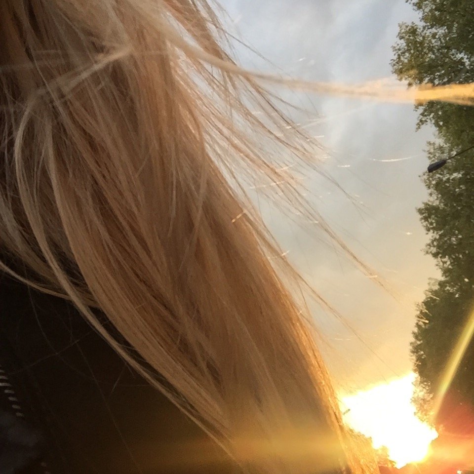 daysofcreature's profile picture. Outdoors.  Things that live outdoors.  Creative and geek.  Also whiskey.