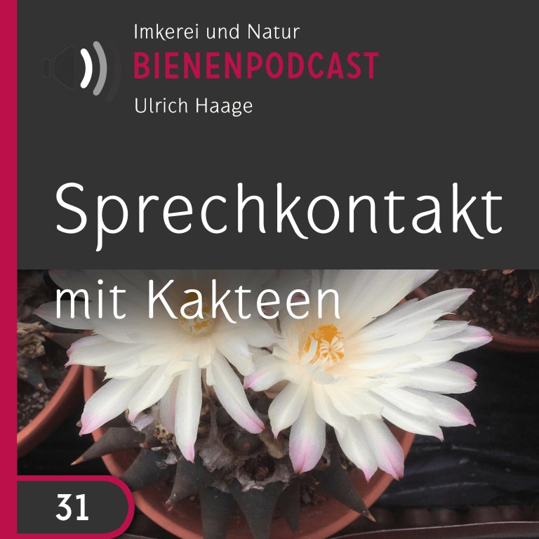 bienengespraech's profile picture. Podcast zu Bienen, Imkern und Natur.