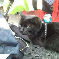 Around the Shires... (@aroundbritain) 's Twitter Profile