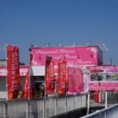 ドライフラワー＆プリザーブドフラワーあいむは神奈川県秦野市にあります。ドライフラワー・プリザーブドフラワーの専門店としてアレンジメントの製作販売、教室の開催、オリジナルの資材・花材の販売をしています。全国のショップ様・百貨店様・団体様へ業務用卸販売もしております