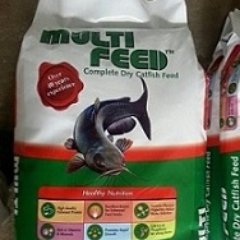 A unique Floating pellet fish feed for Tilapia and African Catfish. Produced by the most advanced ISRAELI Extruder technology available.🇮🇱
