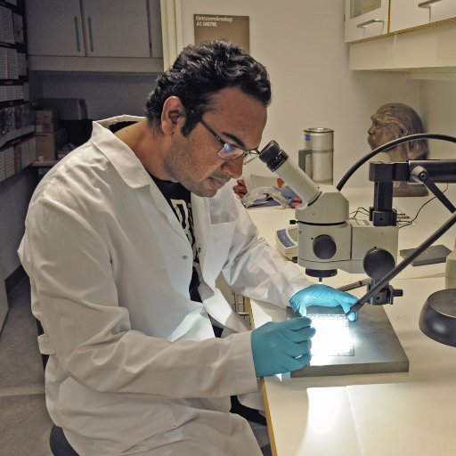 rakibul_islam31's profile picture. 