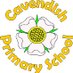 Cavendish Primary School (@CavendishHull) Twitter profile photo