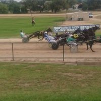 Wedderburn Trots (@wedderburntrots) 's Twitter Profile
