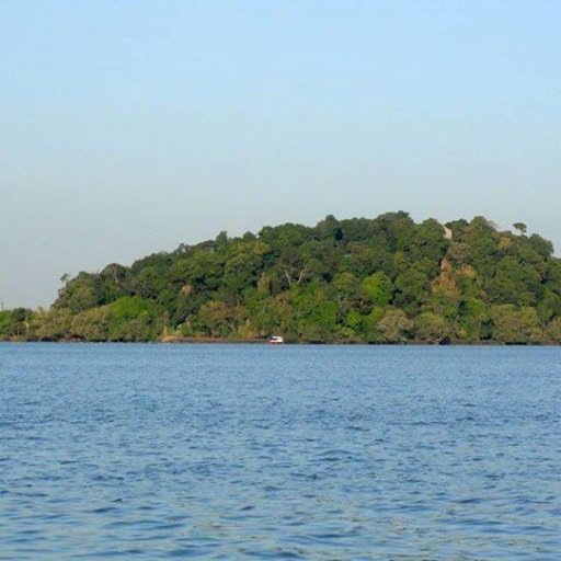 kasittylove's profile picture. 