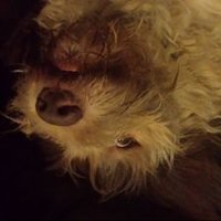 Jordan (@jtheexile9077) 's Twitter Profile