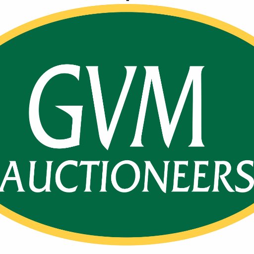 GVM Auctioneers Profile