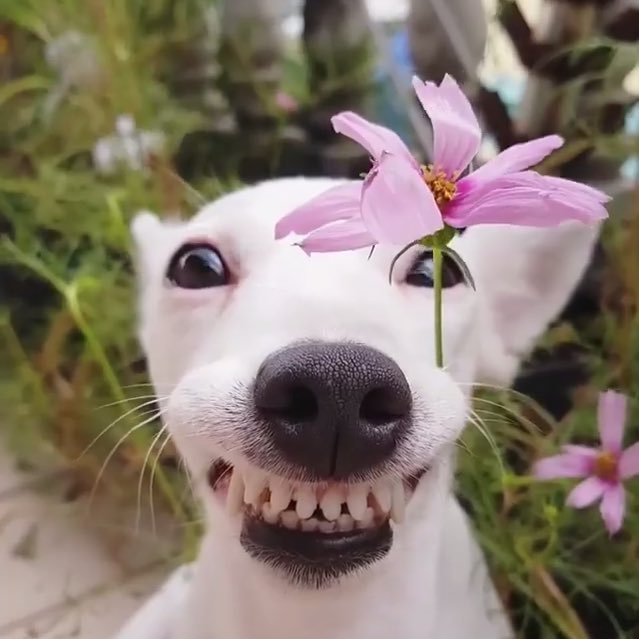 crezyGr's profile picture. 