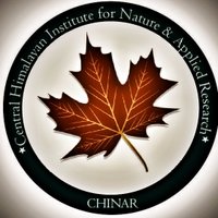 CHINAR (@chinarindia) 's Twitter Profile