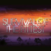 Survival of the Fittest (@itv2fittest) 's Twitter Profile