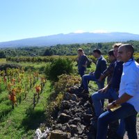 Isidoro Vaira (@isivajra) 's Twitter Profile