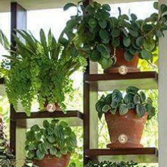 loumatilde's profile picture. 