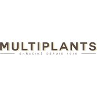 Multiplants(@qcmultiplants) 's Twitter Profile Photo