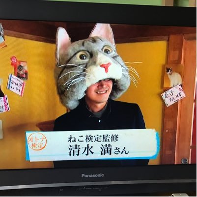 猫清水さんのプロフィール画像