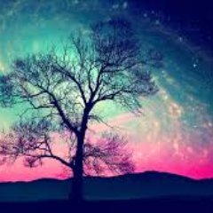 funuado_rd's profile picture. juan:13:34 Un mandamiento nuevo os doy: que os améis los unos a los otros; que como yo os he amado, así también os améis los unos a los otros.