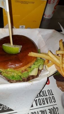 Armando11595381's profile picture. Defensor de lo indefendible