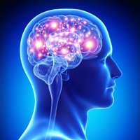 Lewy Body Dementia Warrior (@lewybodywarrior) 's Twitter Profile Photo Lewy Body Dementia Warrior (@lewybodywarrior) 's Twitter Profile Photo