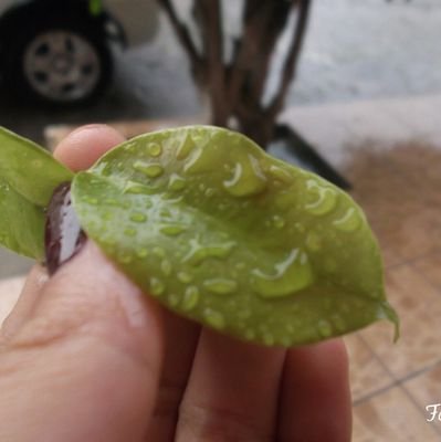 BeckyGaetaT's profile picture. “El componente más importante de una cámara está detrás de ella”. Ansel Adams