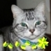 k26smiling's profile picture. 良い図書館ができて乱読が趣味になったが、知恵が付いてる気はしない。。。