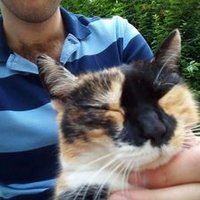 Ben (@bencrts) 's Twitter Profile